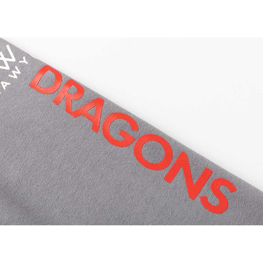 Classic Dragons 2025 Women's Pullover Hoodie - Image 4