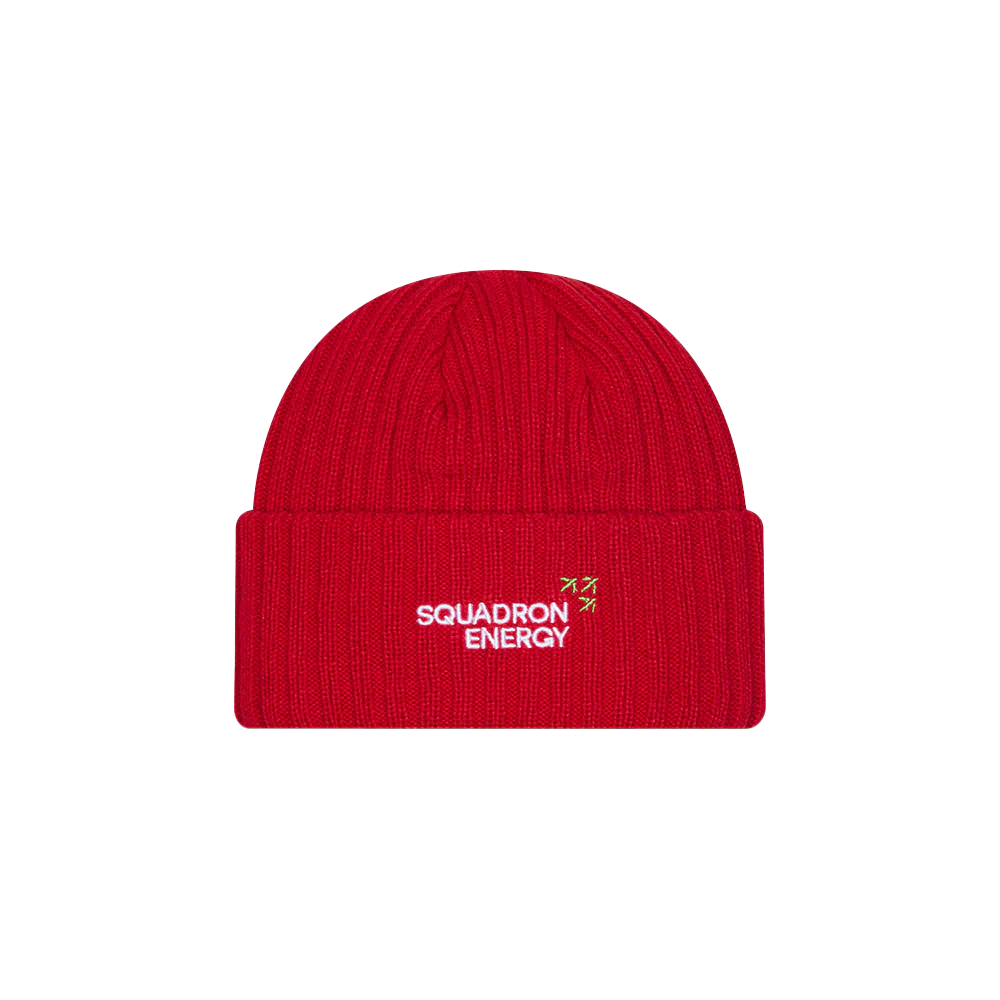 New Era Dragons Team Official 2026 Beanie - Image 3