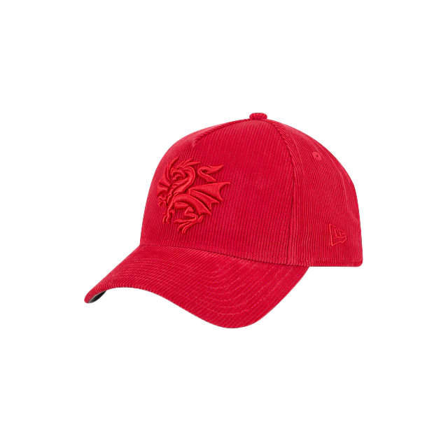 New Era Dragons Tonal 9Forty A-Frame