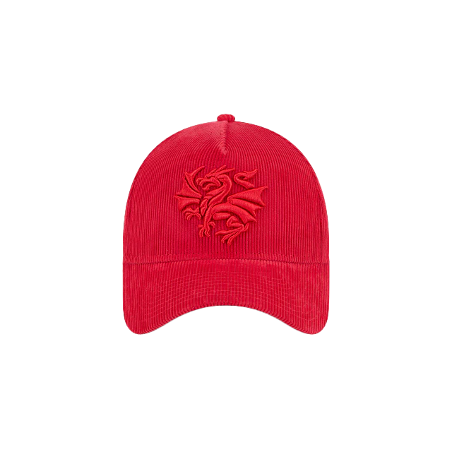 New Era Dragons Tonal 9Forty A-Frame - Image 2