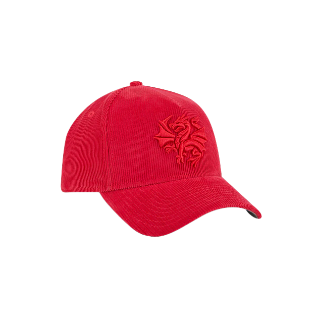 New Era Dragons Tonal 9Forty A-Frame - Image 3